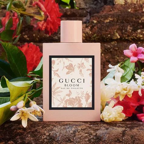 gucci eau de toilette bloom|Gucci Bloom fragrances.